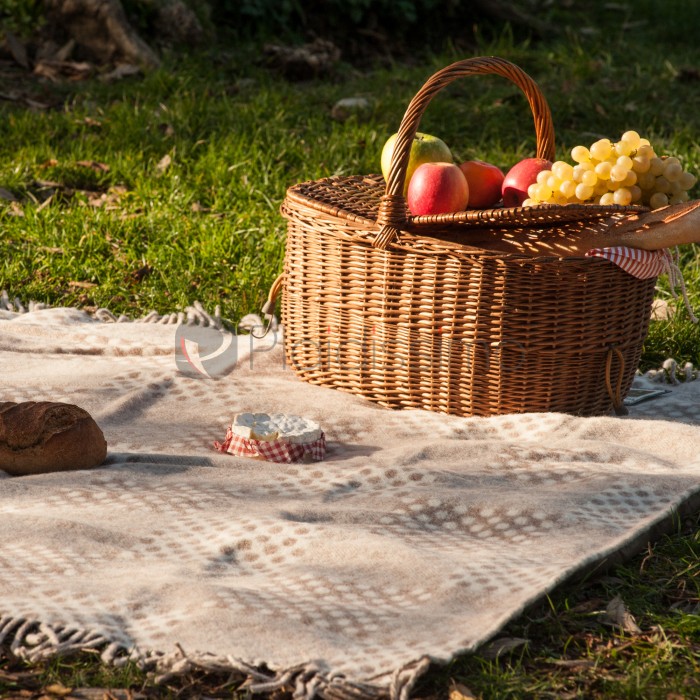 Plaid de Pique-Nique Imperméable · Laine d'Agneau · Reserve Square Spot par Tweedmill