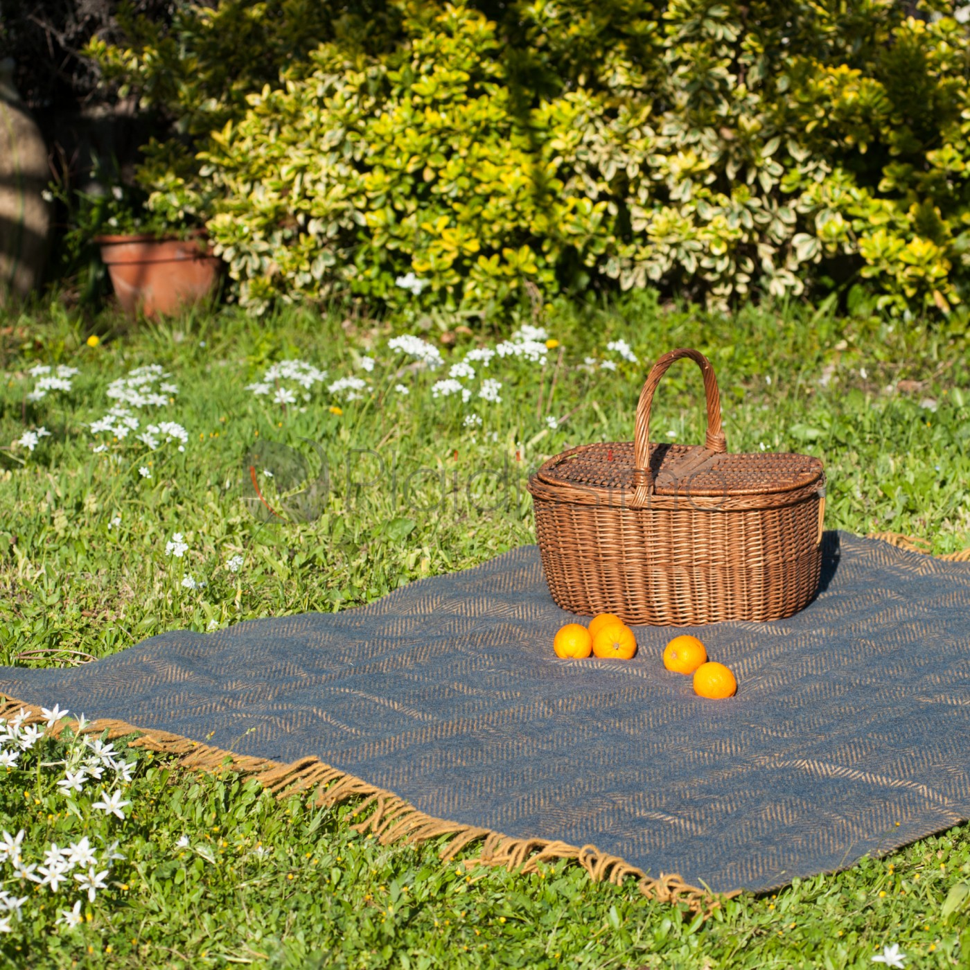 Couverture Pique-nique Creagaran - Laine Mohair Tartan - 170x120 Cm - Écosse - Occasion